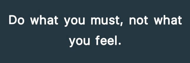 Stallion banner