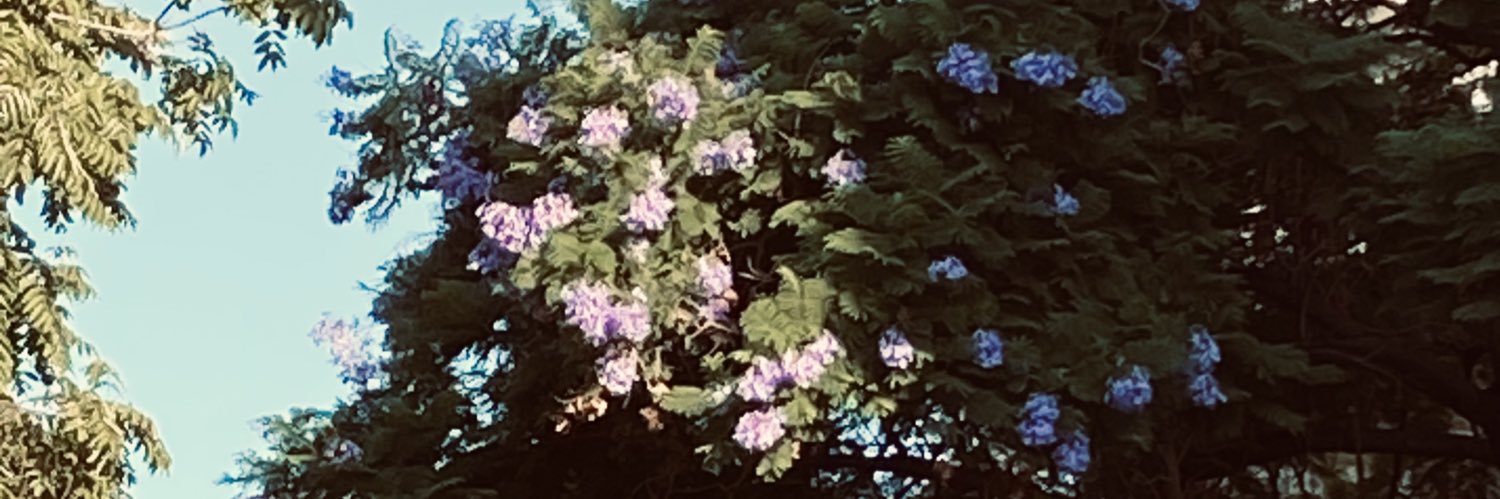 acizane_'s profile banner image