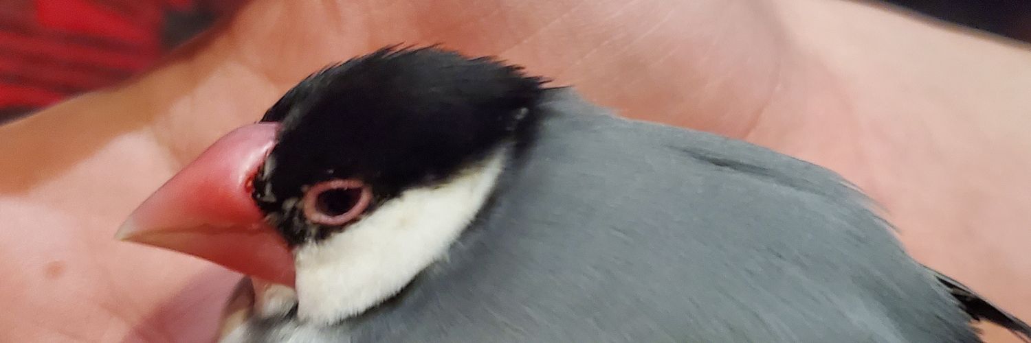 のののののののののの banner