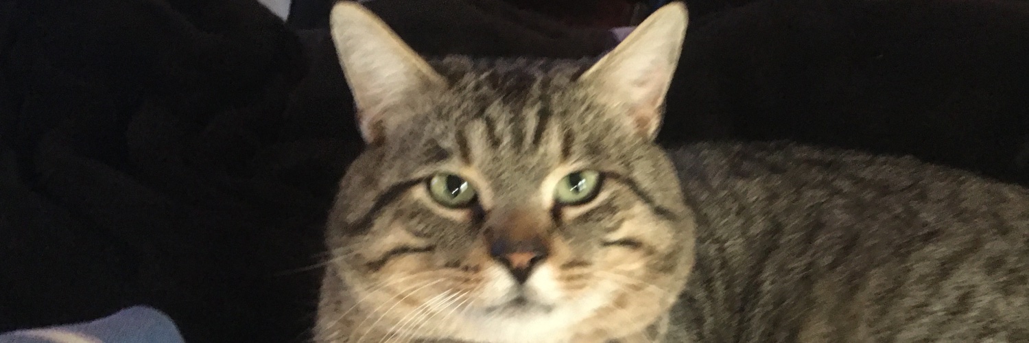 tazlives's profile banner image