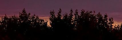 𝕯𝖎𝖆𝖇𝖑𝖔 banner