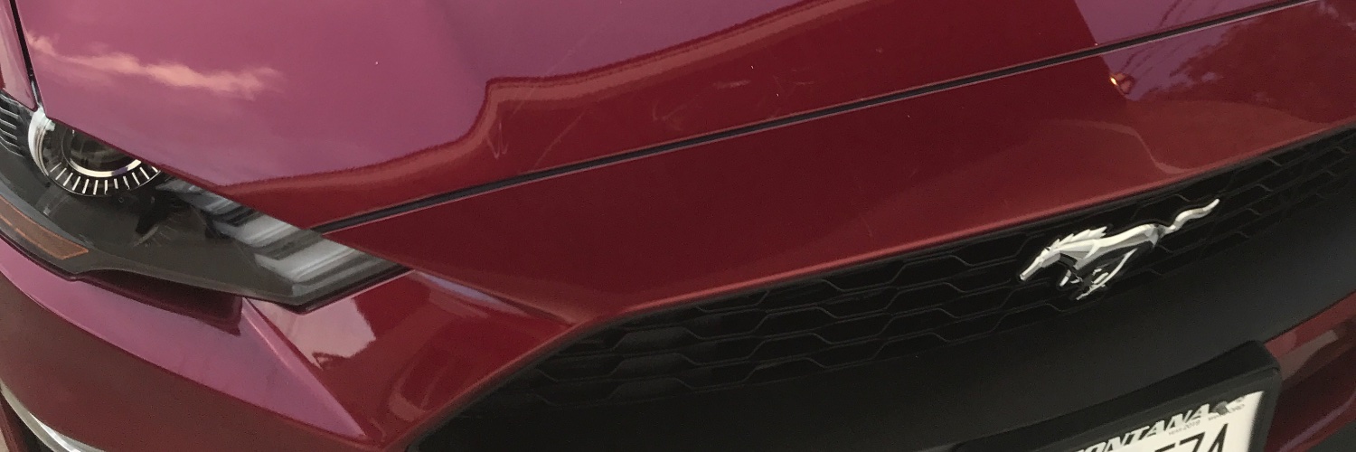 KITTY CAT ALERT banner