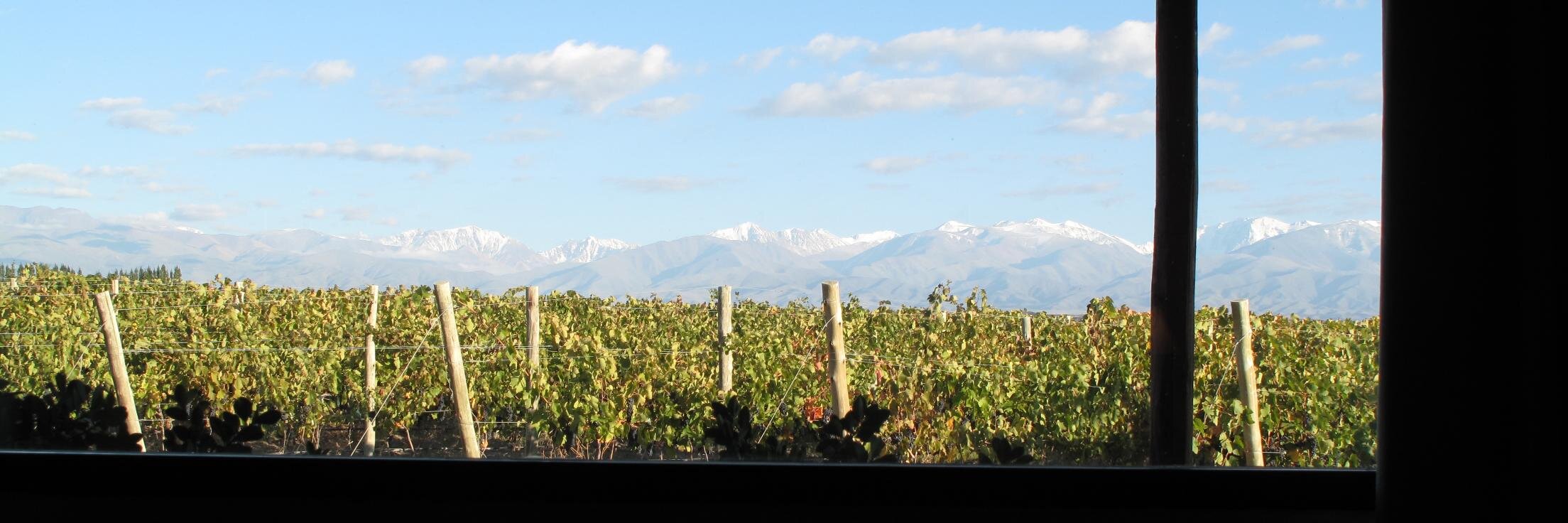 Clementine O'Connor banner