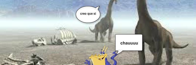 lapulgitawest banner