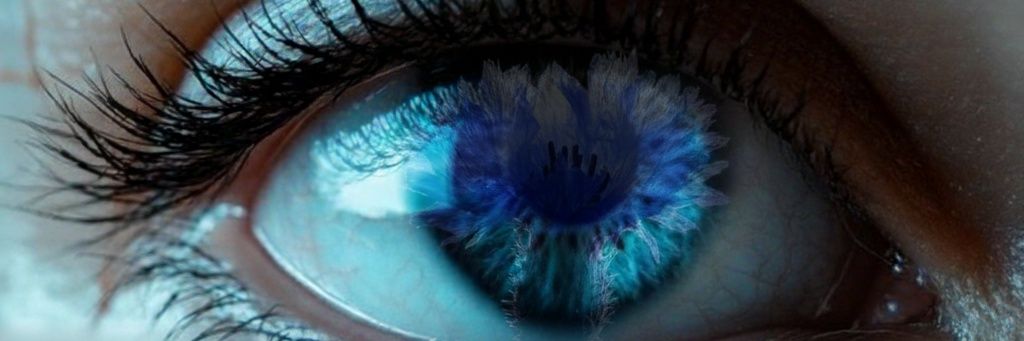 Ɲ𝖮ᑲ⫯ᗩᓰ banner