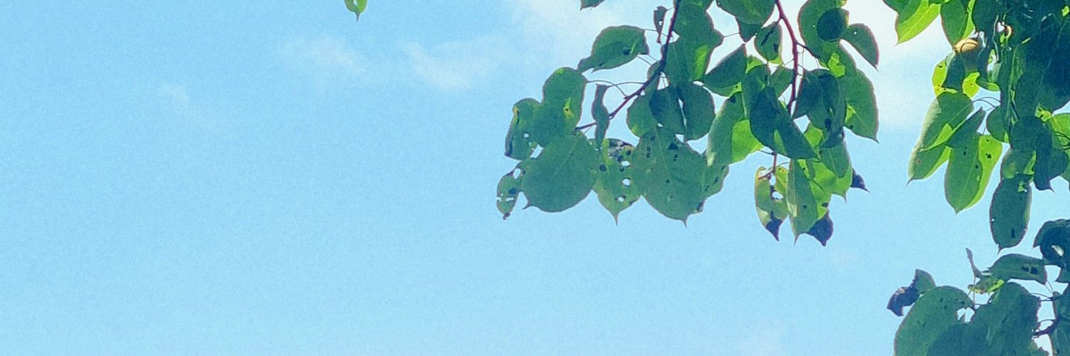 bibio029029's profile banner image