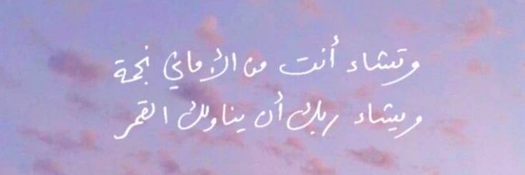 آمون banner