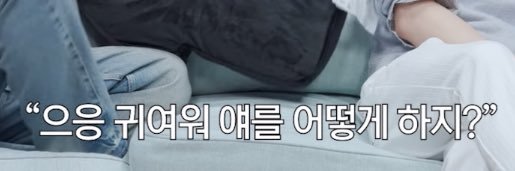 마디 banner