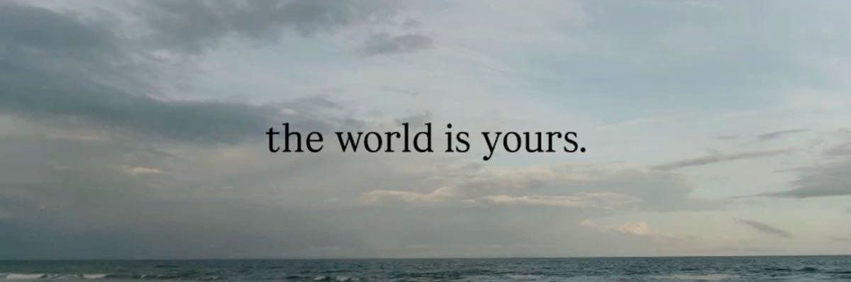 blueberry✮⋆˙ banner