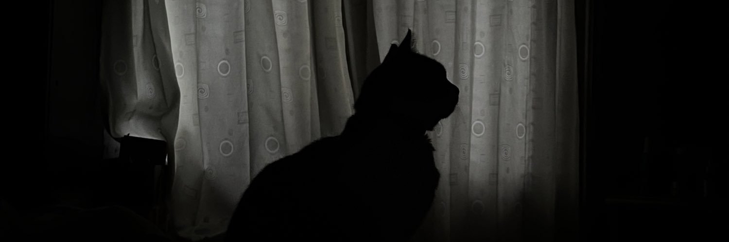 eepykuki's profile banner image