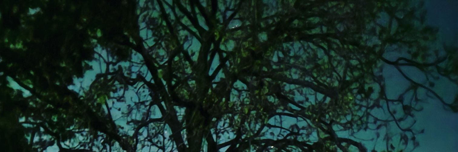 Sudhanshu banner