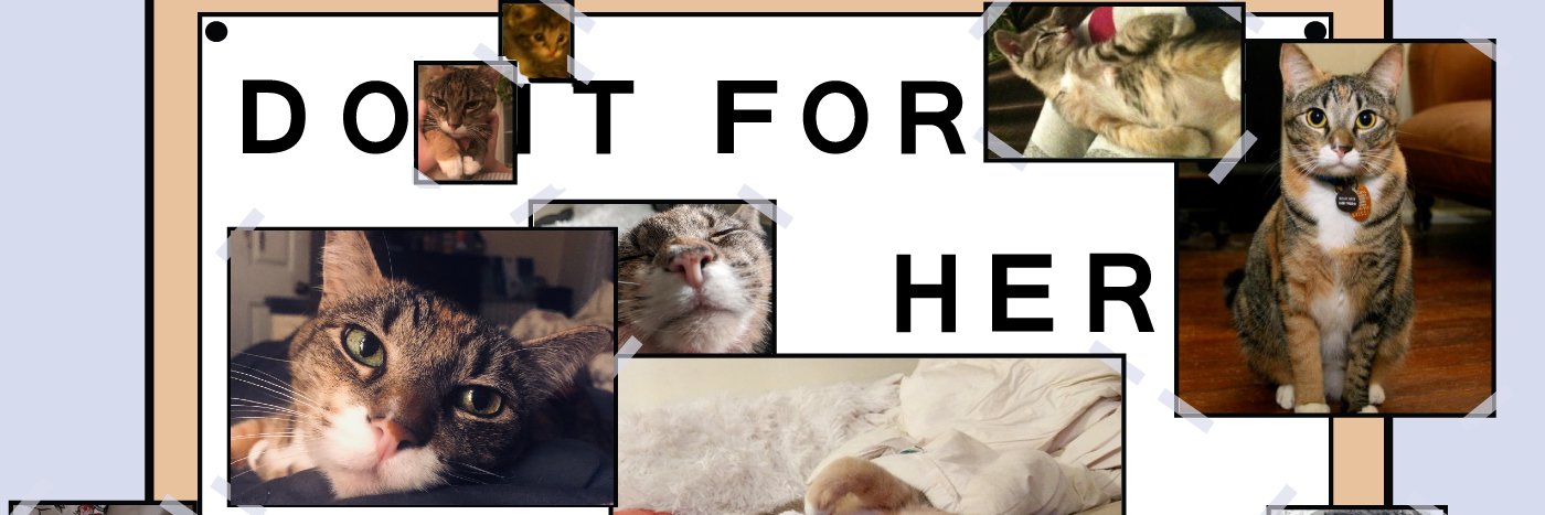 The Kronstadt Gardener 🇵🇸 banner