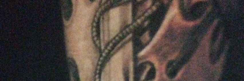 MerryBacklineco's profile banner image