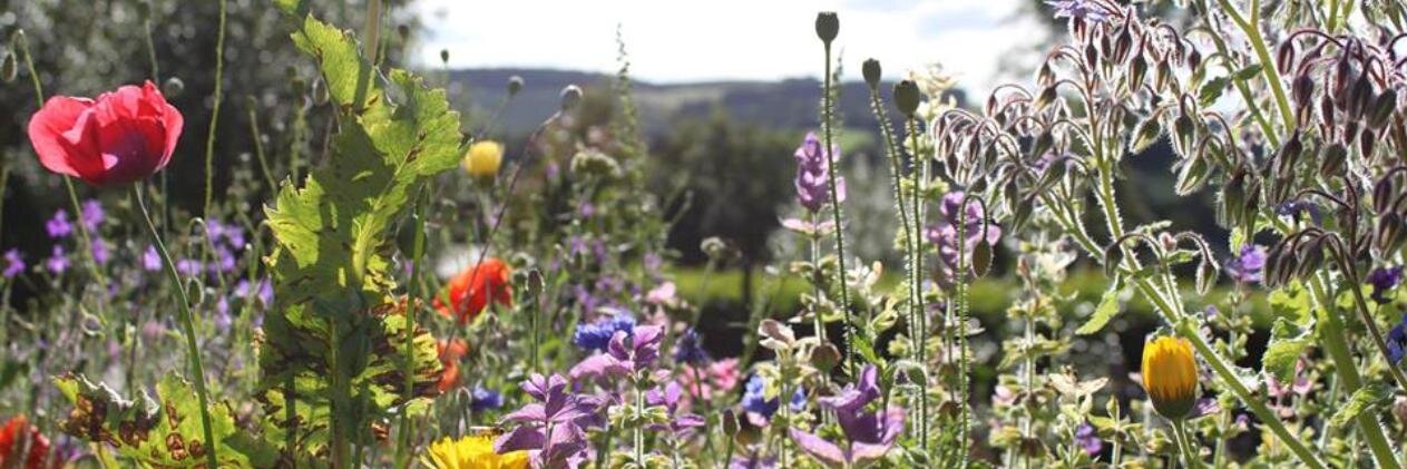 Diane (working out how to close this a/c) banner