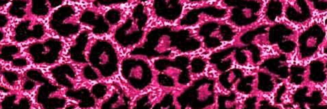 S banner