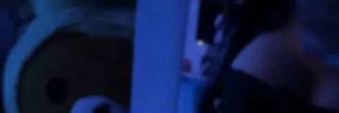 SOF banner