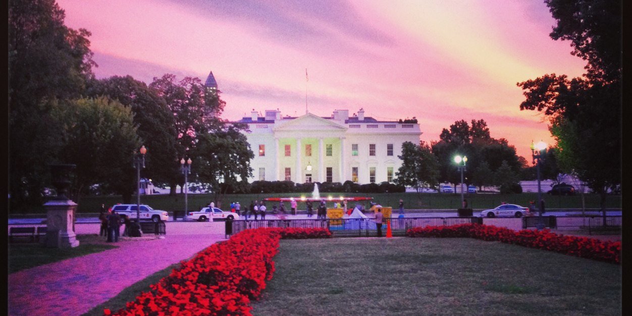 Stephen Collinson banner