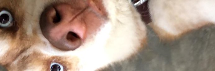 Ve99's profile banner image