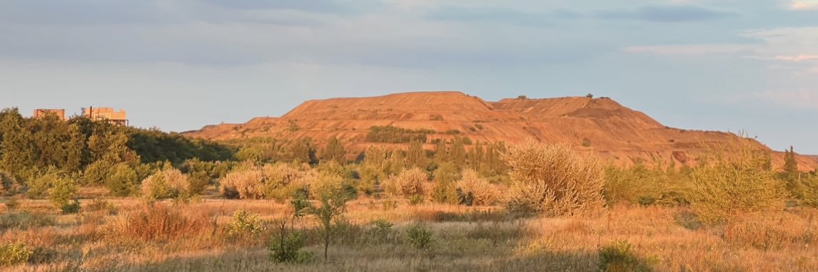 Алінкін парк's banner