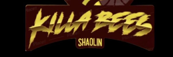 SIBAKillaBees Profile Banner