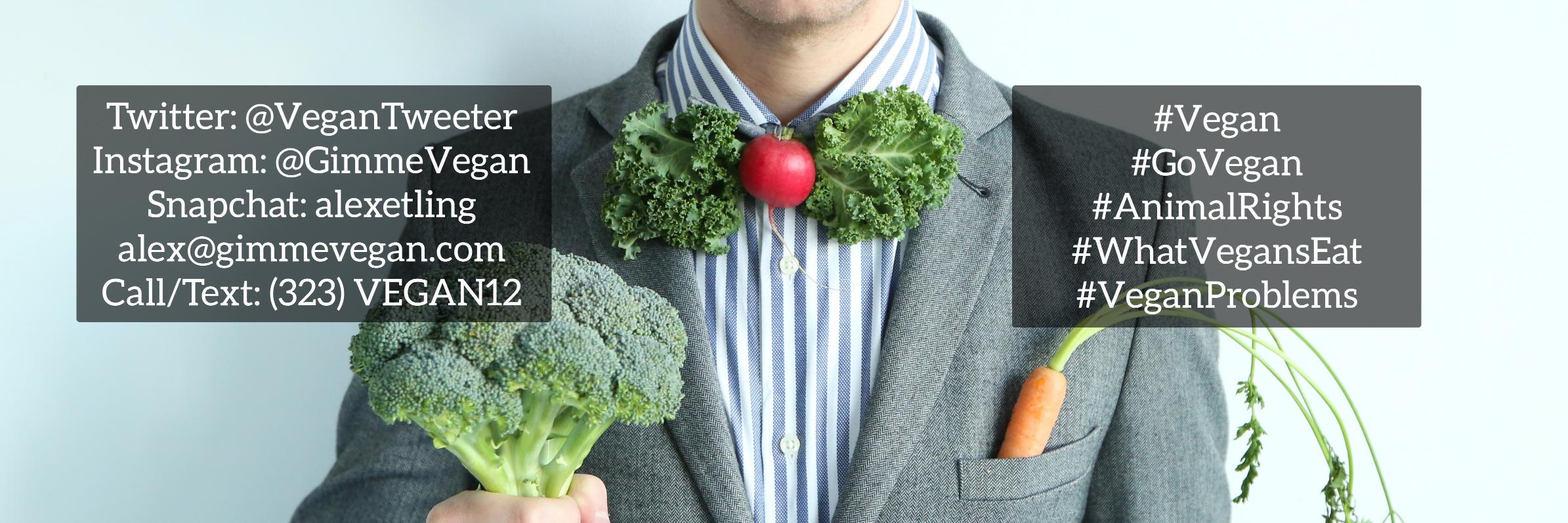 Vegan Tweeter (Alex) banner