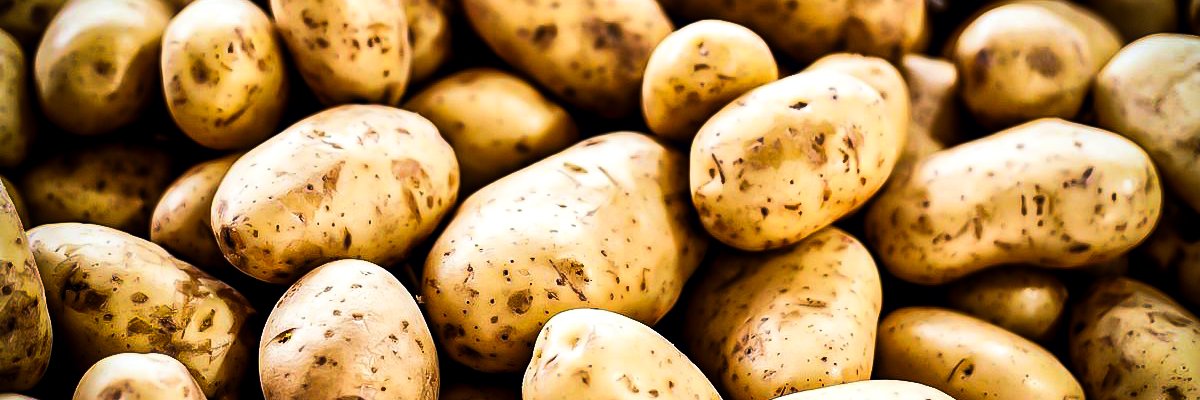 potat banner