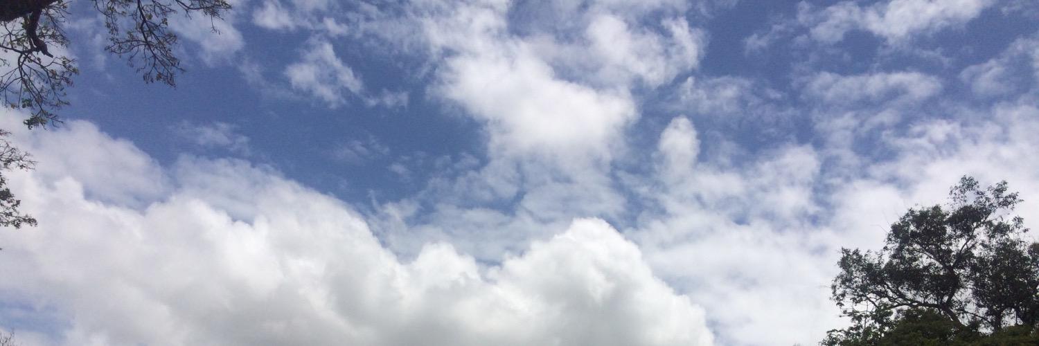 violetalg's profile banner image