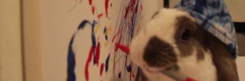 HavenSmiles1's profile banner image