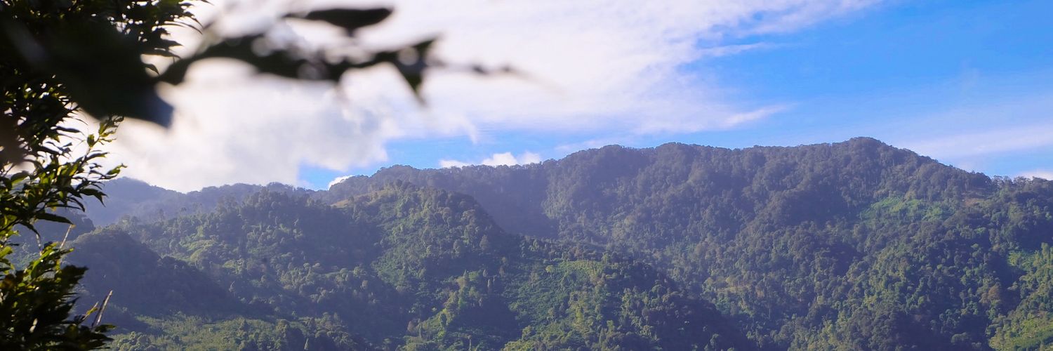 malkarm's profile banner image