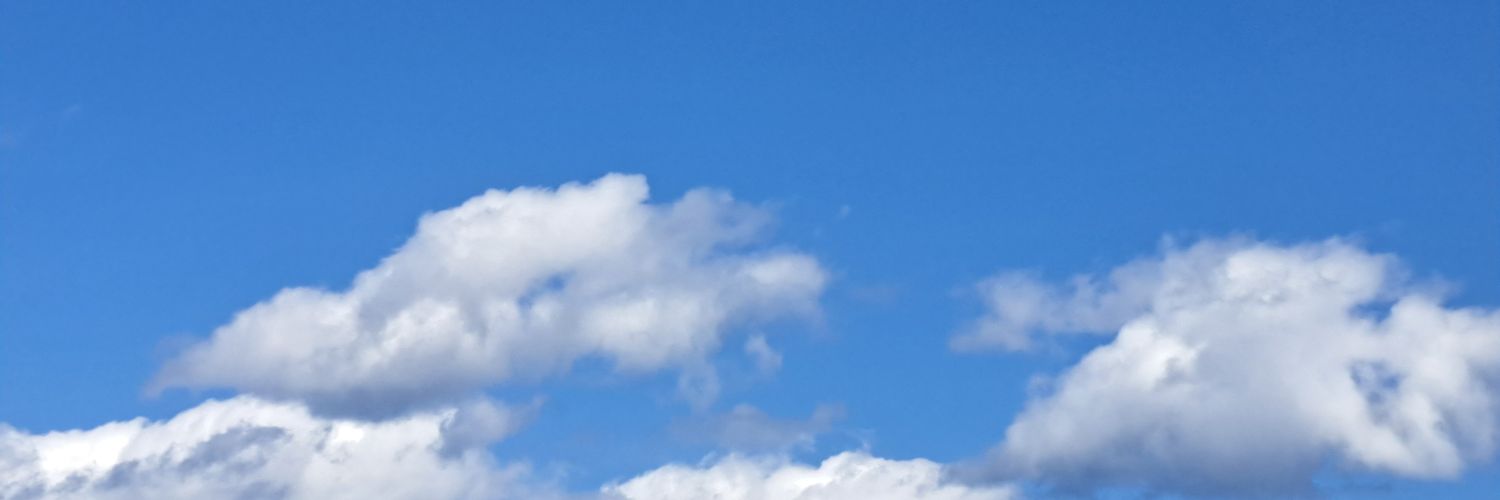 もʕ•ᴥ•ʔん banner