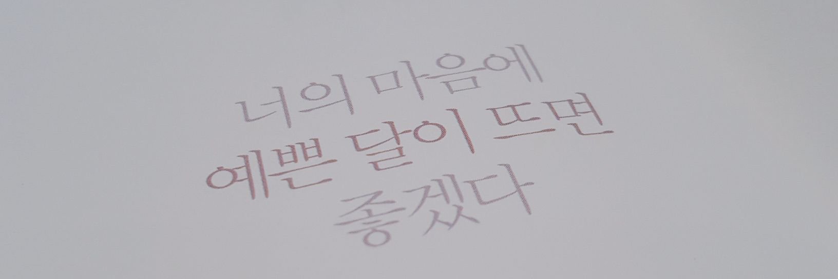 aha1219's profile banner image