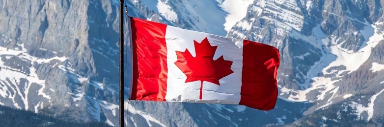 Aurora Pijuan 🔨 banner