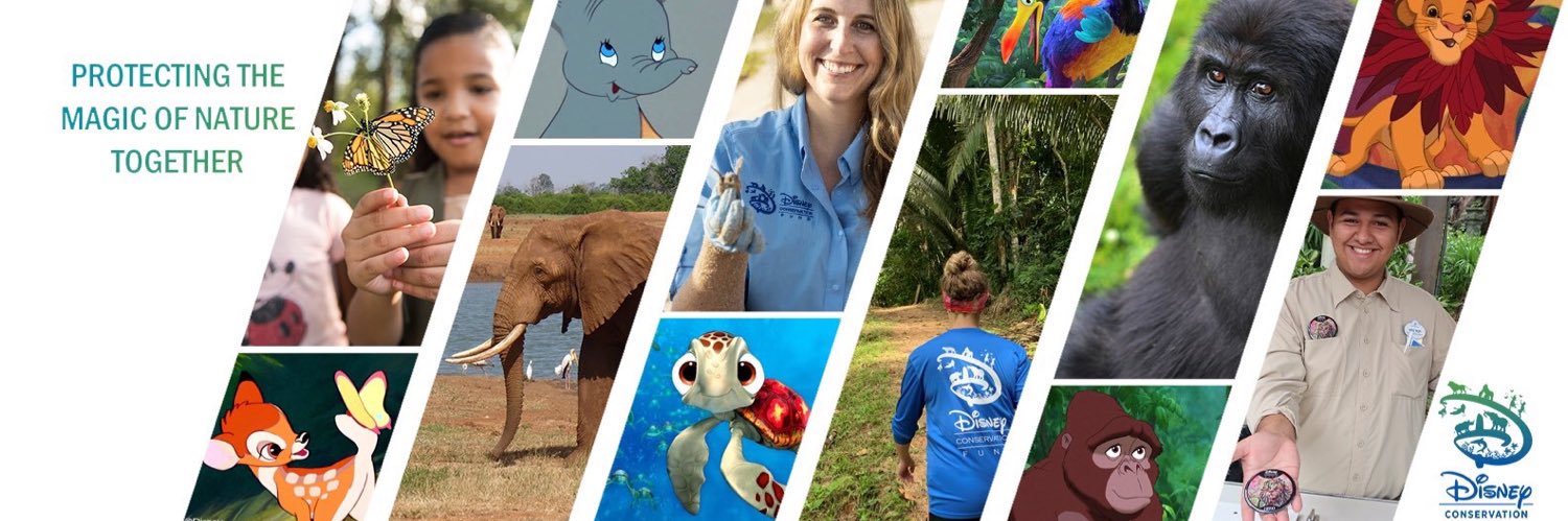 DisneyConserves's profile banner image