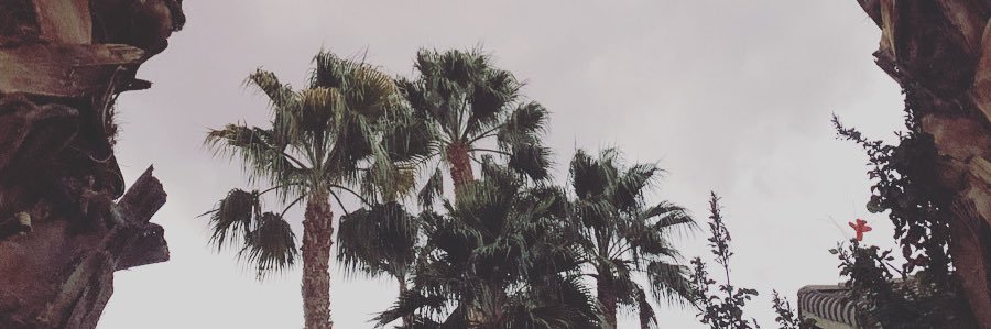 Kiki_F's profile banner image