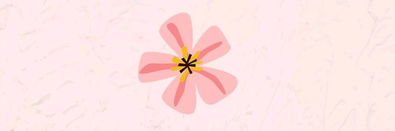 melatihnm's profile banner image