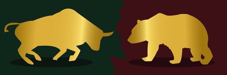 cucapai's profile banner image