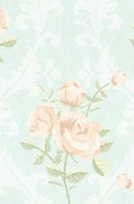 kucingorenkasep's profile banner image