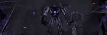 Megatron banner