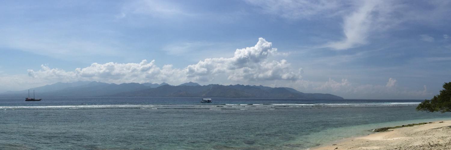 Johan Lemmens banner