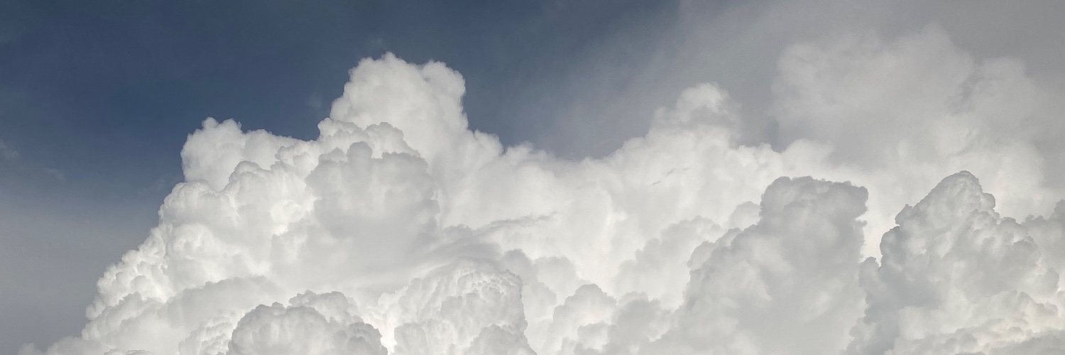 SALamader_24's profile banner image