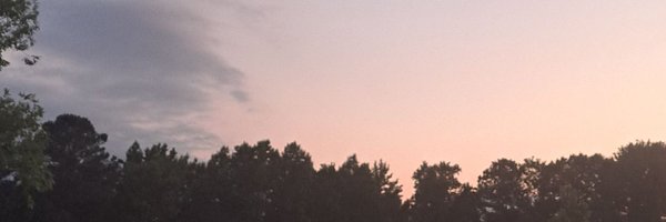 ritzwashere Profile Banner