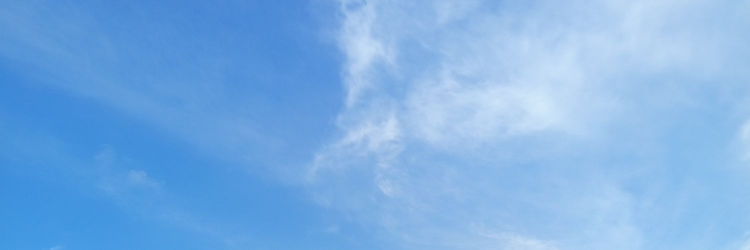 Nau ｡⁠◕⁠‿⁠◕⁠｡ banner