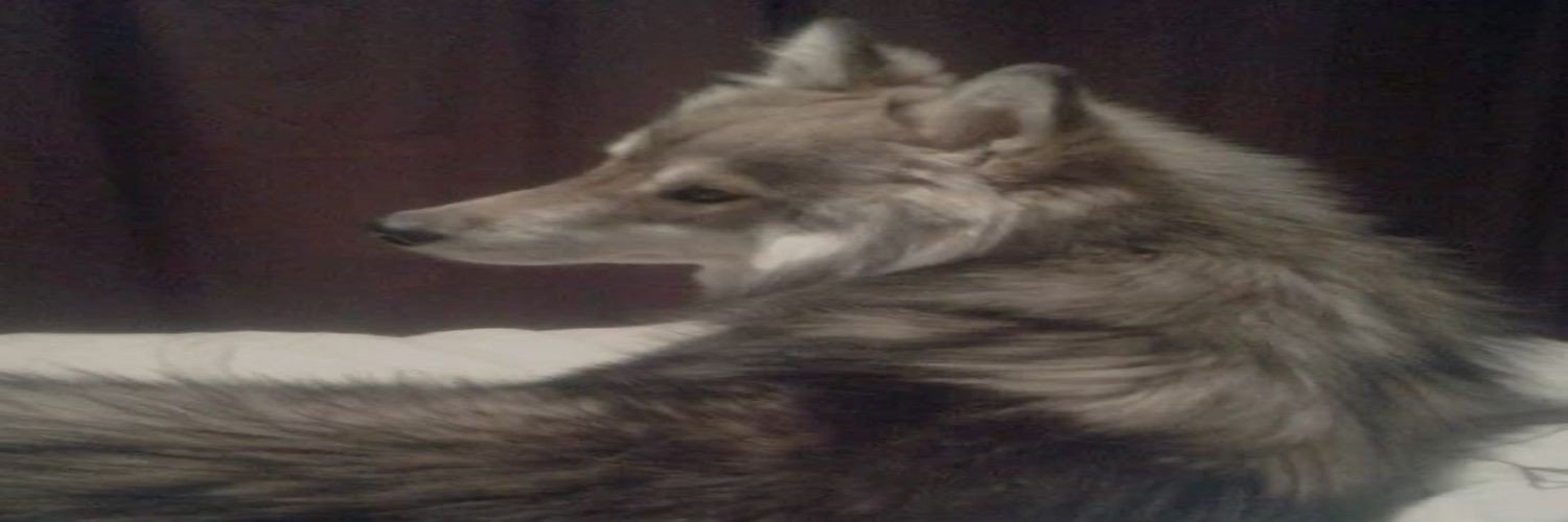 oko7oko7's profile banner image