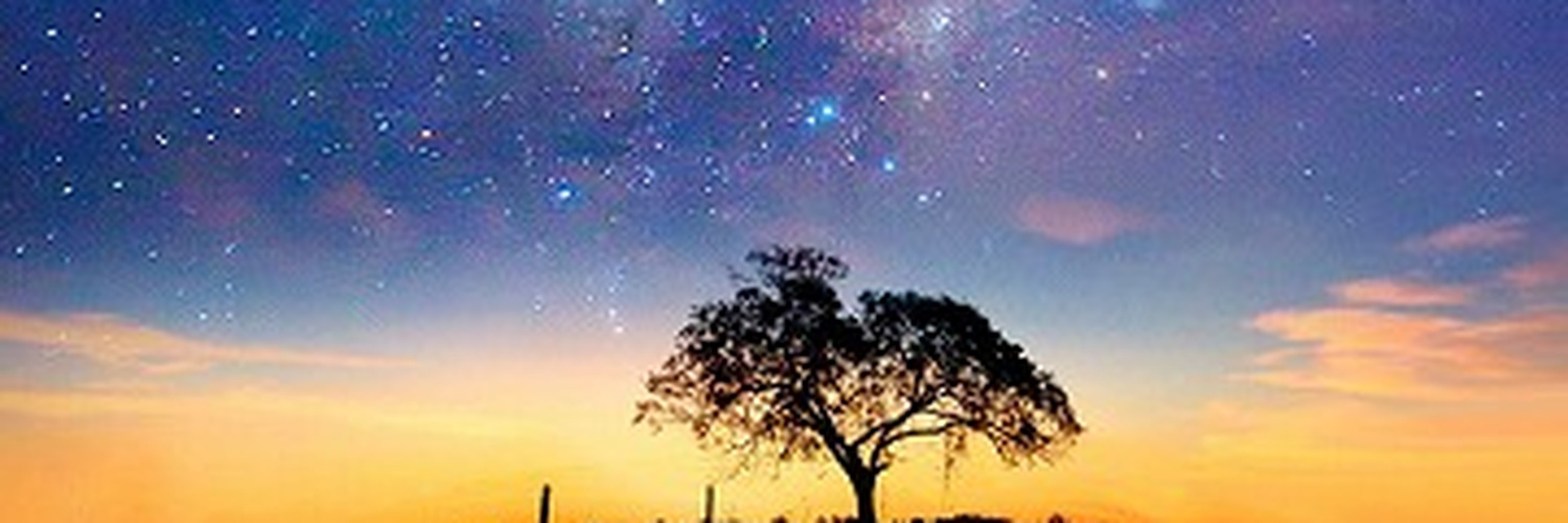 Jeremy179648731's profile banner image