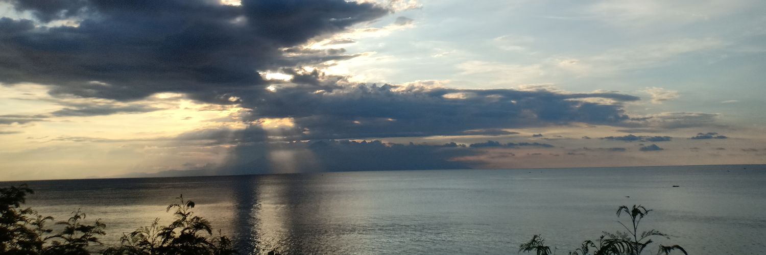 tyyaaaaa's profile banner image