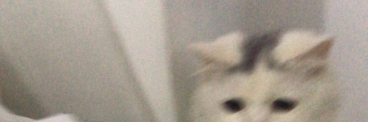 ulilazz's profile banner image