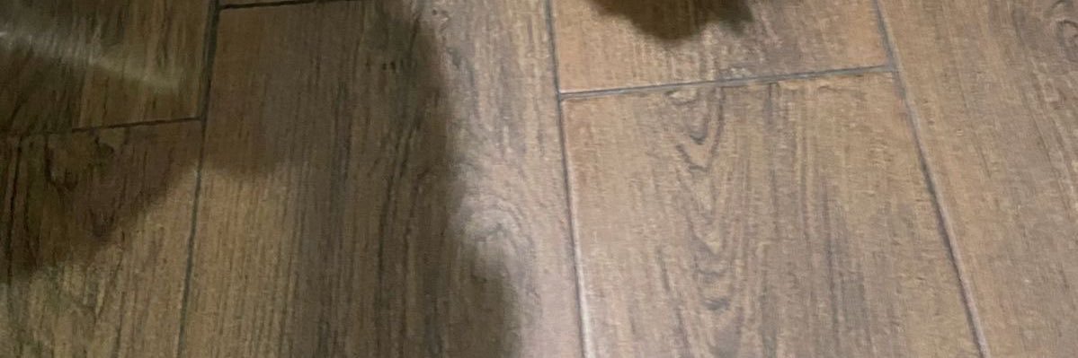 Daddymarkd2's profile banner image