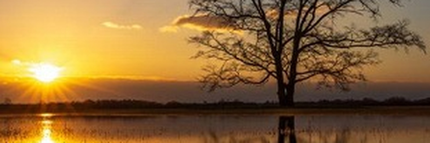 David6178729552's profile banner image