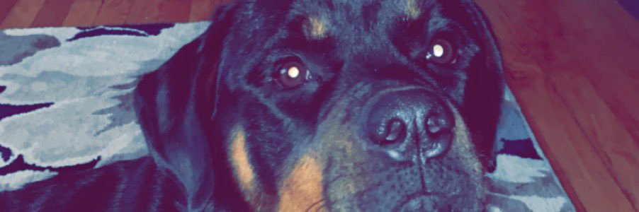KLintheLab's profile banner image