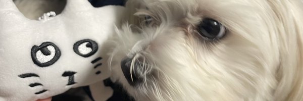 paru_saaab Profile Banner